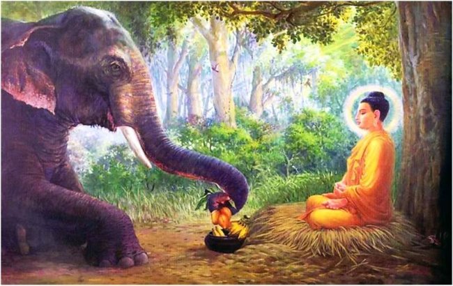 Vì sao Đức Phật nhập mẫu thai trong hình tướng voi trắng?
